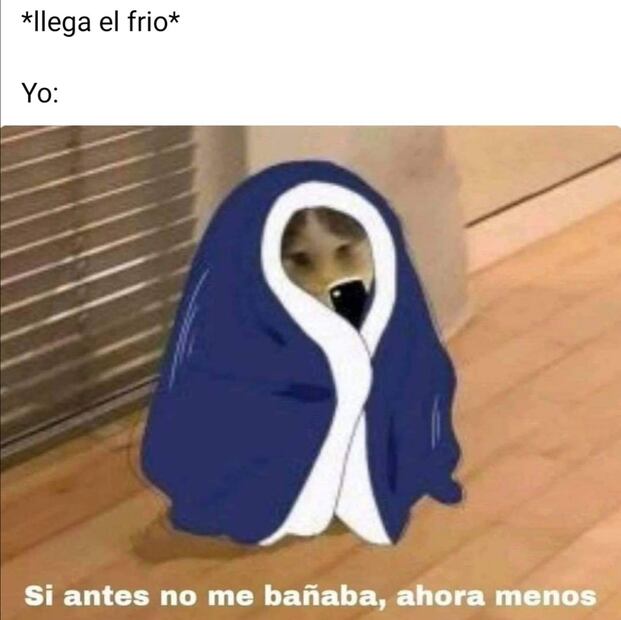 Los 10 memes más divertidos sobre el frío en este 2022
