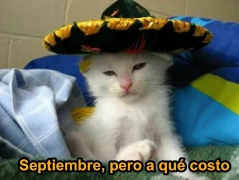 10 divertidos memes que captan la esencia de septiembre