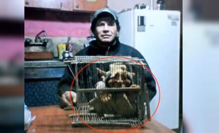 El día que un hombre aseguró haber atrapado a un duende real