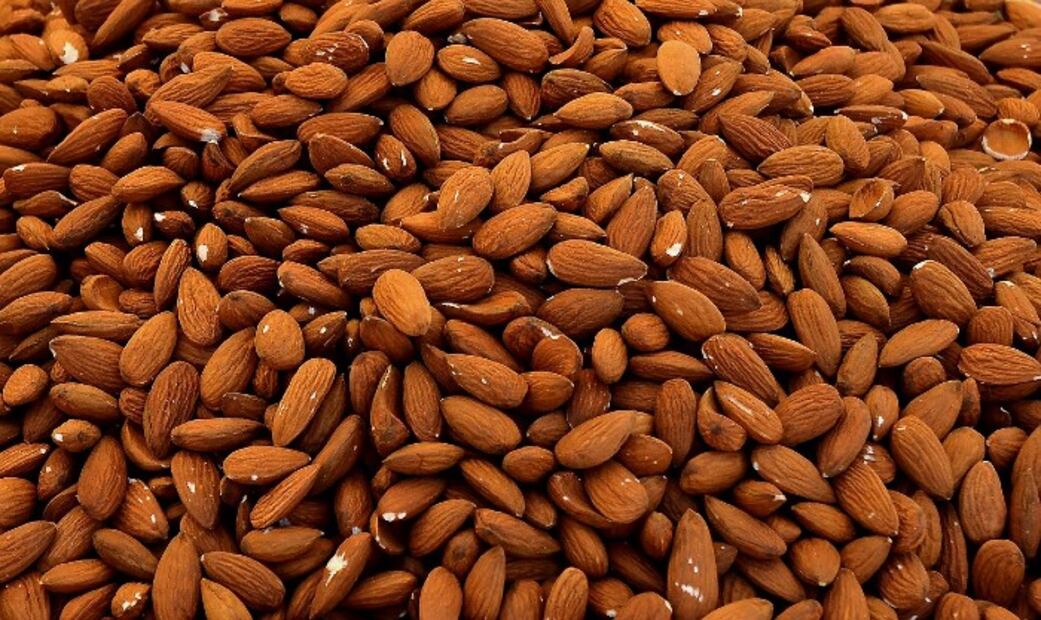 10 alimentos que aportan más Zinc a nuestro organismo