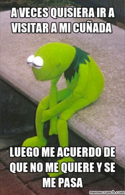 Mi cuñado/a me detesta… ¿qué hago?