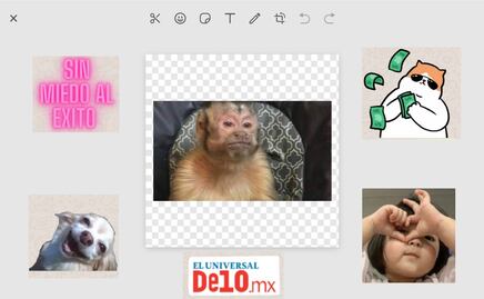 ¿Cómo hacer stickers desde WhatsApp Web? Aquí el paso a paso...