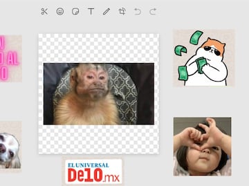 ¿Cómo hacer stickers desde WhatsApp Web? Aquí el paso a paso...