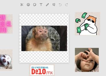 ¿Cómo hacer stickers desde WhatsApp Web? Aquí el paso a paso...