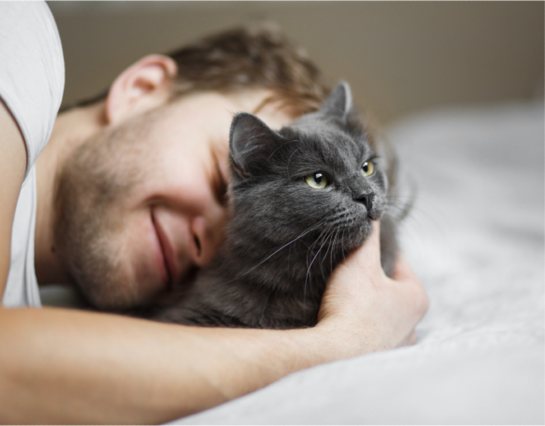 8 motivos para tener a un gato como compañía 