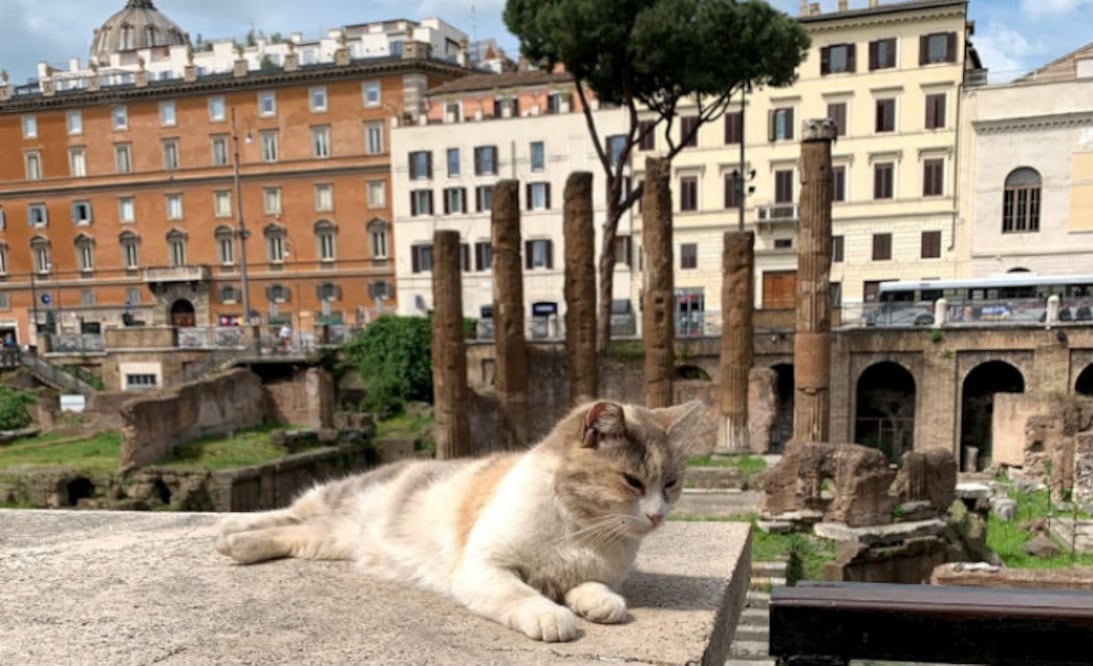 Foto: Google Maps /Michael Wehking