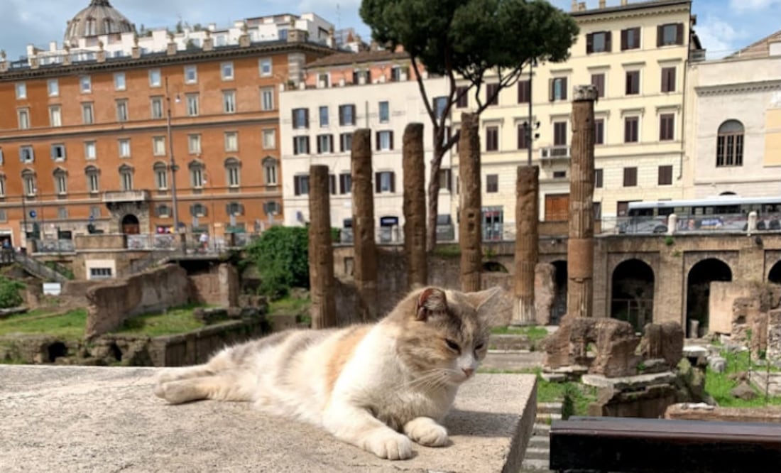 Foto: Google Maps /Michael Wehking