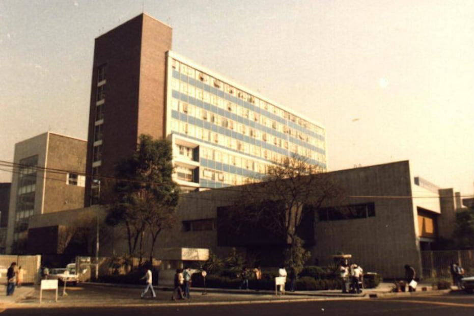 Los bebés milagro de 1985... ¡México nunca pierde la esperanza!