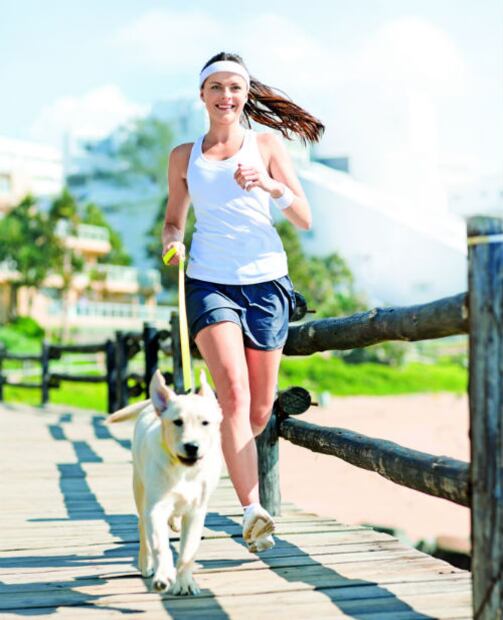 10 errores que debes evitar al elegir a un perro