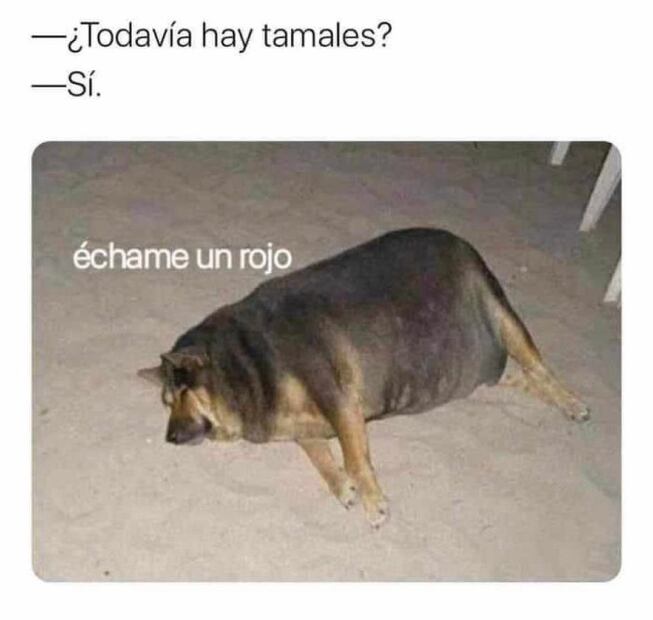 Los 10 mejores memes de los tamales del Día de la Candelaria