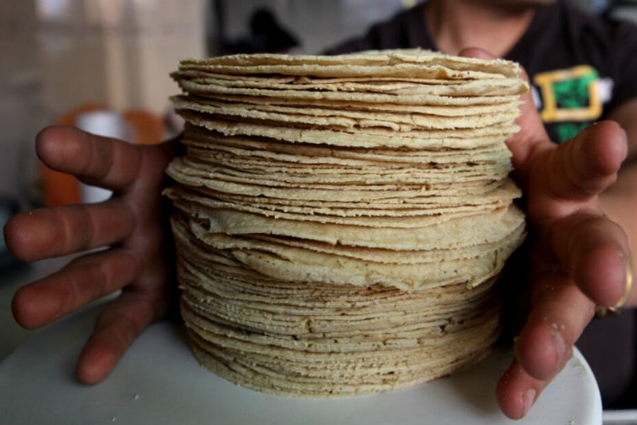 10 datos sobre la deliciosa TORTILLA que son más que curiosos