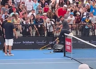 VIDEO: Serpiente interrumpe partido del ATP 250 de Brisbane