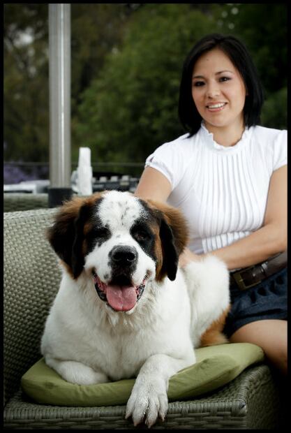Conoce las diferencias entre los perros de raza pequeña, mediana, grande y gigante