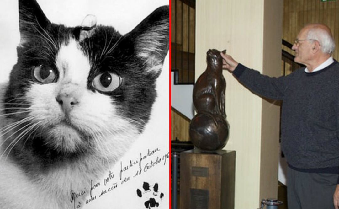 Fotos: kickstarter.com