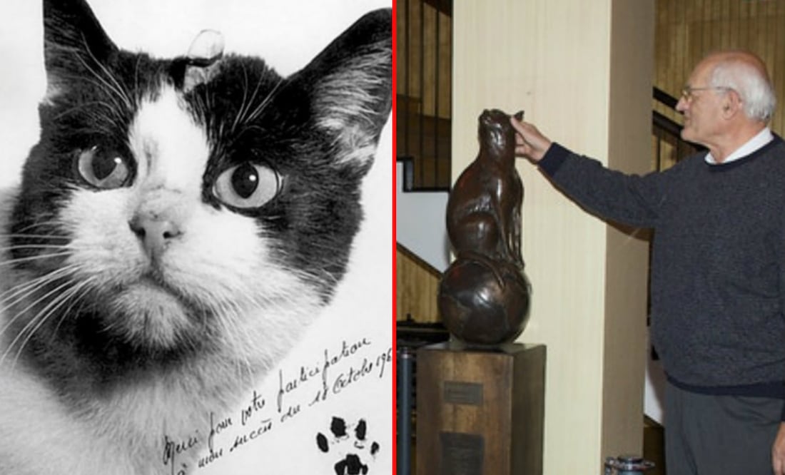 Fotos: kickstarter.com