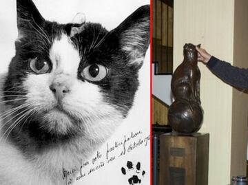 Félicette, la primera gatita que viajó al espacio ya tiene su estatua