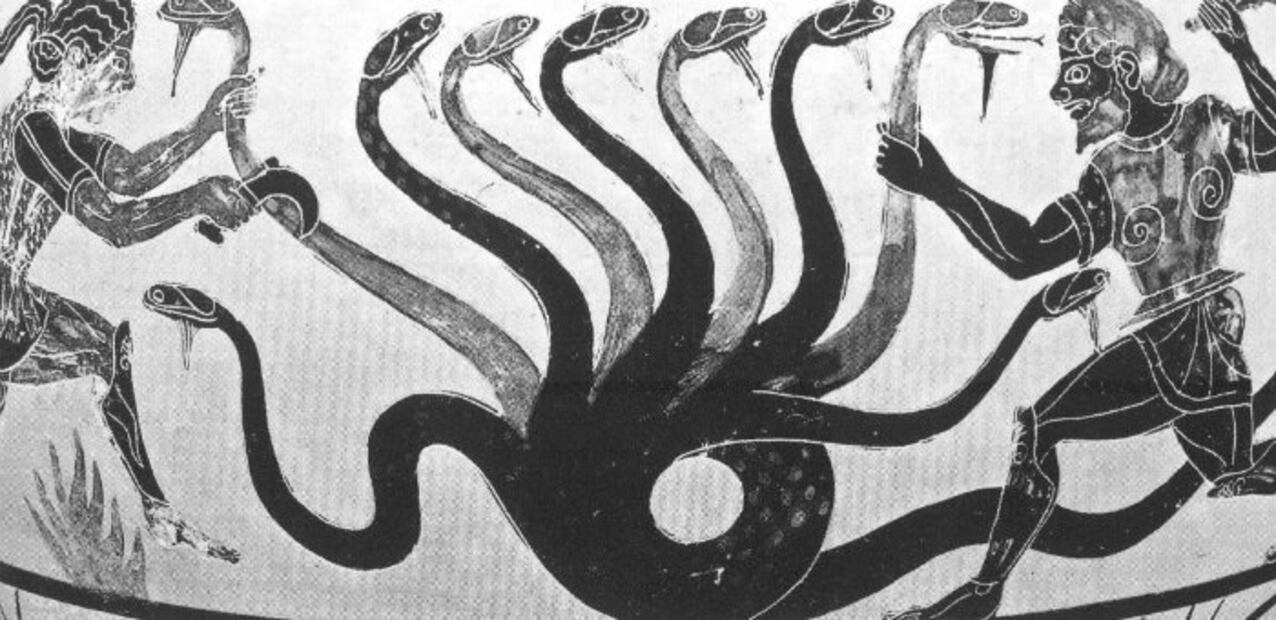 10 impactantes criaturas que poseen dos cabezas