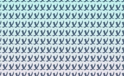 Sólo una mente muy entrenada puede encontrar la letra 'r' en solo 5 segundos