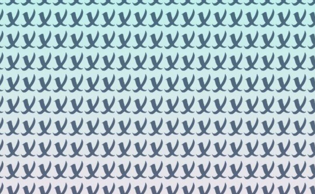 Uno de los objetivos principales de estos acertijos visuales es brindar un momento de diversión y ayudar a liberar el estrés. Fuente: Genial Guru