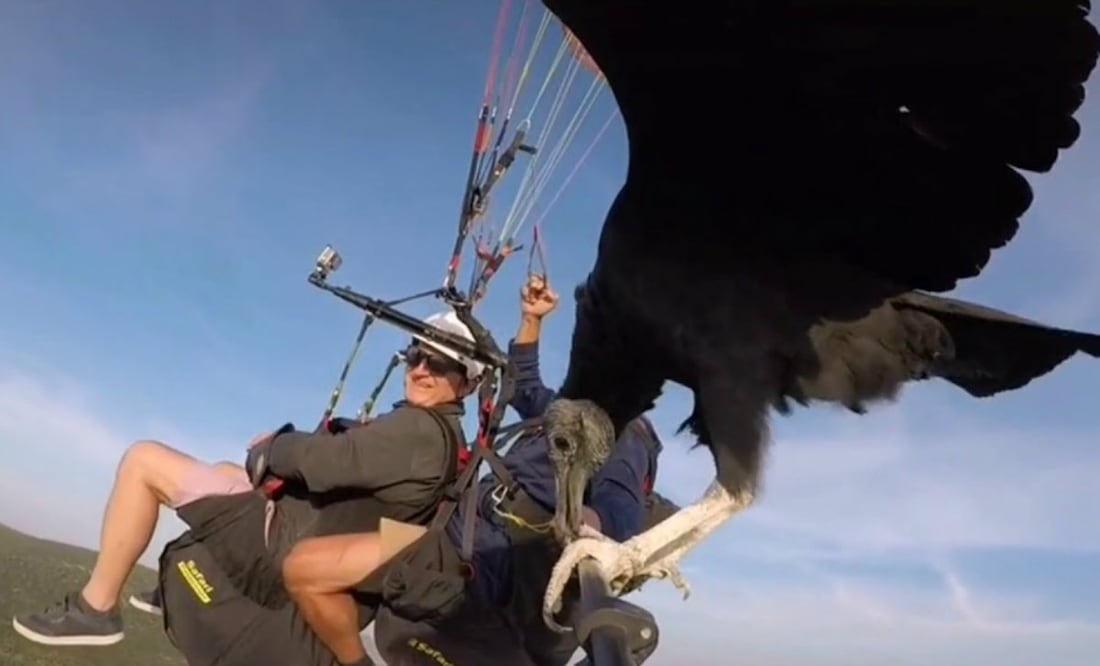 Foto: TikTok @skywingsadventures