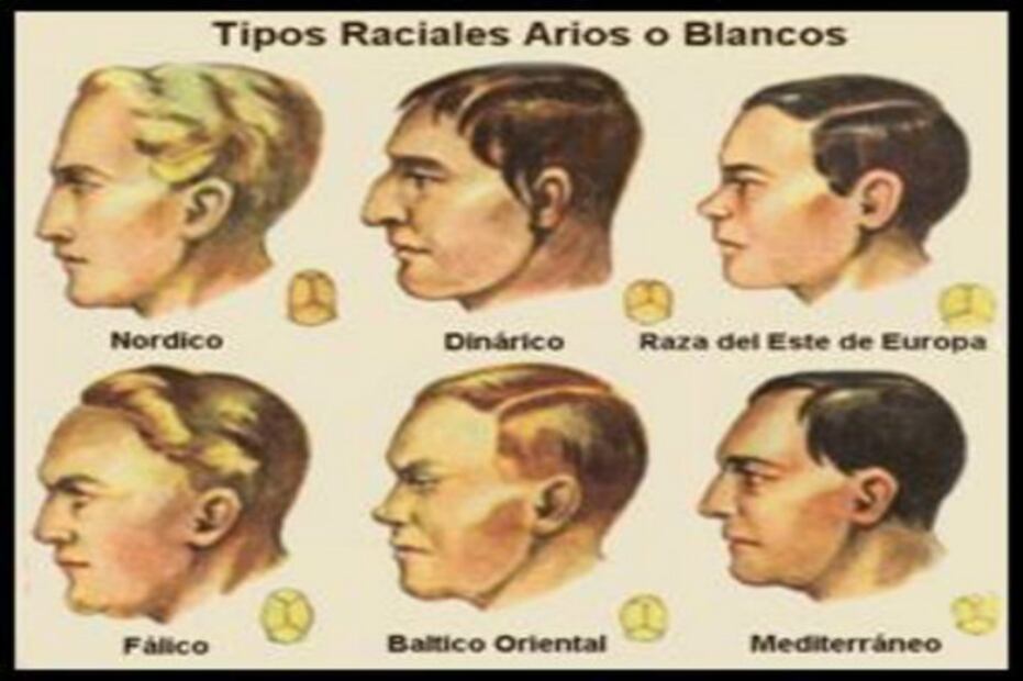 ¿Qué características tiene la raza aria?