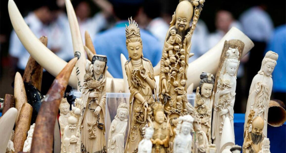 China toma decisión histórica para salvar a los elefantes