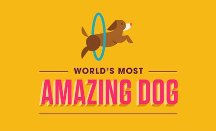 Facebook Watch estrena la serie interactiva "World’s Most Amazing Dog"