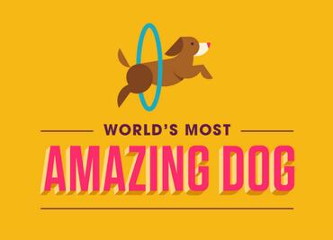 Facebook Watch estrena la serie interactiva "World’s Most Amazing Dog"