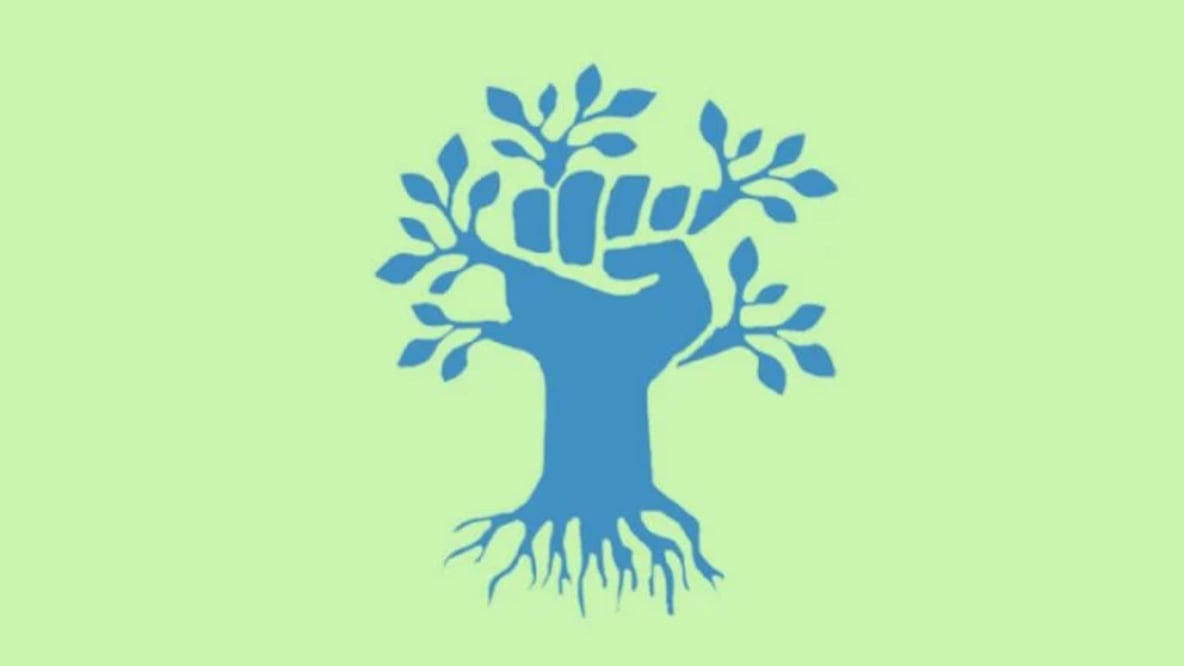 Es importante para todas las personas porque puede ayudarles a mejorar significativamente sus capacidades y habilidades visuales.

Foto: Producción El Universal