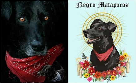 “El Negro Matapacos”, el perro que se convirtió en estandarte de las protestas en Chile