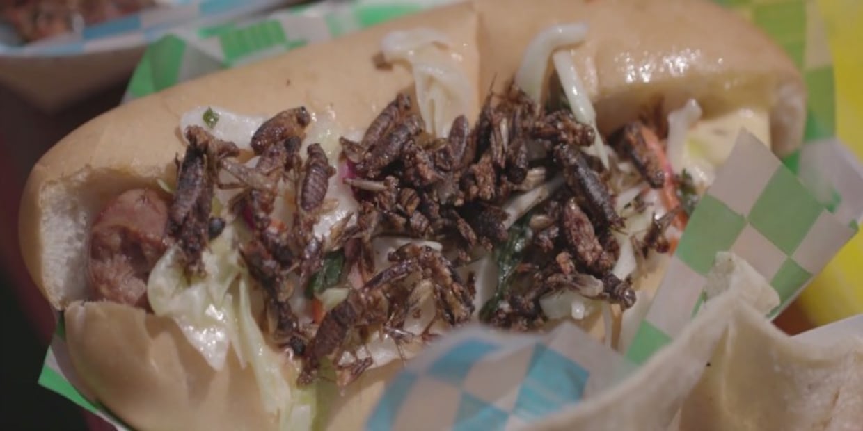 ¡Deliciosos! Hot dogs, pays y smoothies de insectos