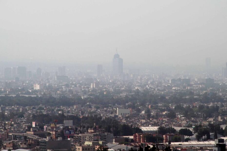 La contaminación de la CDMX y los terribles efectos en nuestro cerebro 