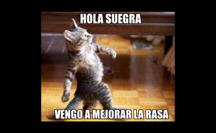 6 tips para ganarte a tu suegra sin morir en el intento