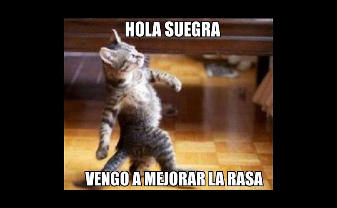 Imagen tomada de Internet