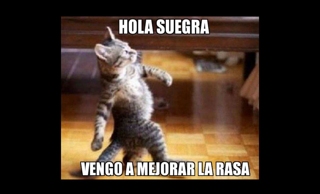 Imagen tomada de Internet