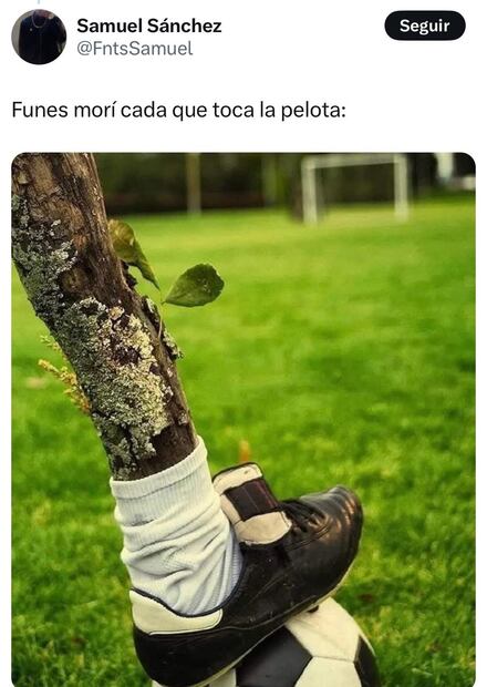 Pumas MEMES