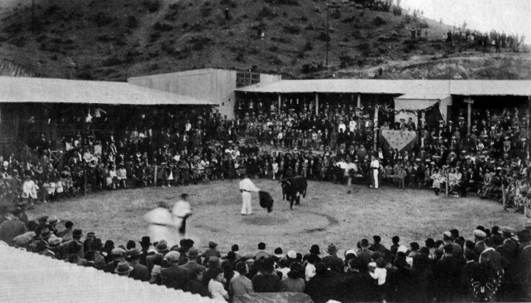 Día Antitaurino: ¿Fiesta brava? El origen y prohibición de las corridas de toros