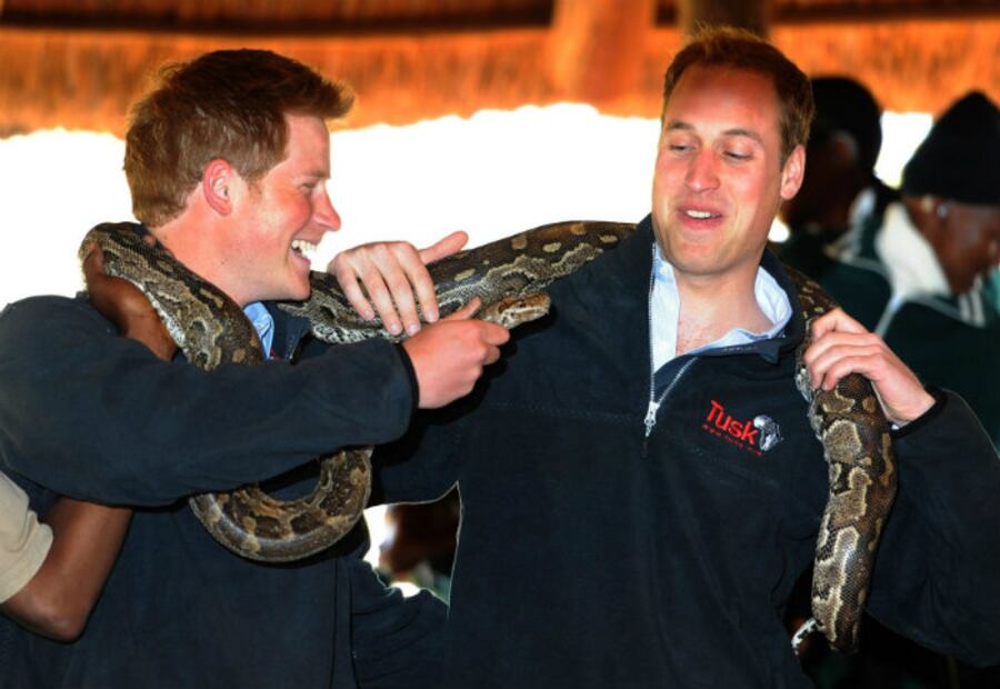La complicada relación entre los príncipes William y Harry