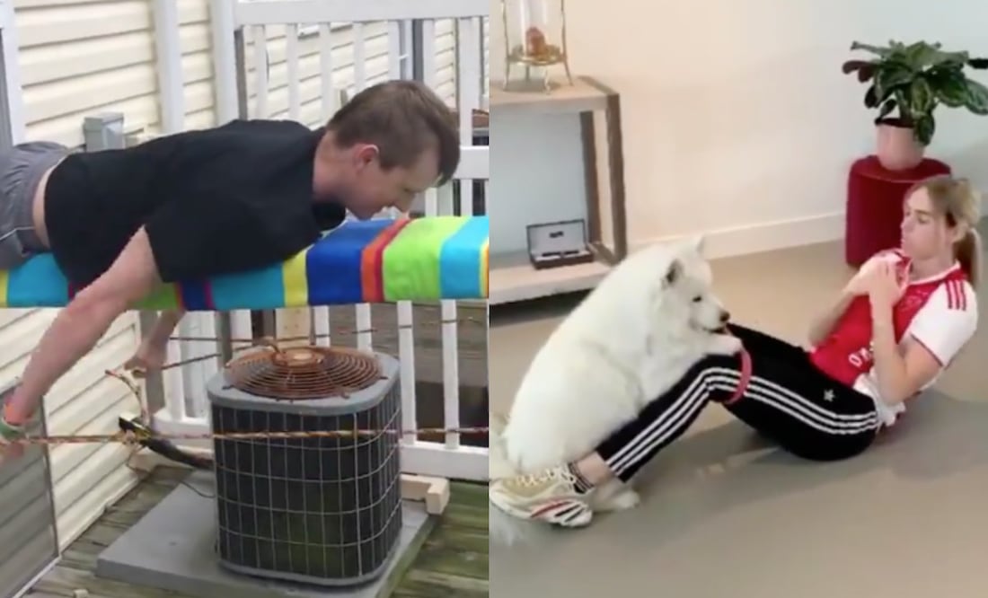 Foto: Twitter @SC_ESPN y @ftbllrswanimals