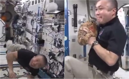 ¡Increíble! Koichi Wakata, astronauta japones juega beisbol en el espacio