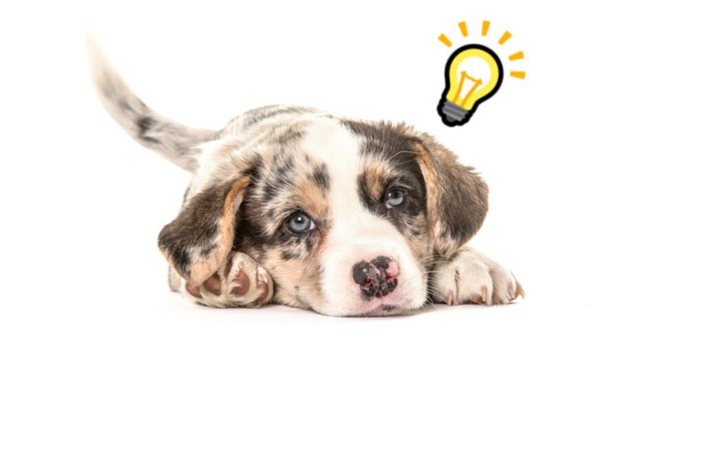 Foto: iStock/Emojipedia