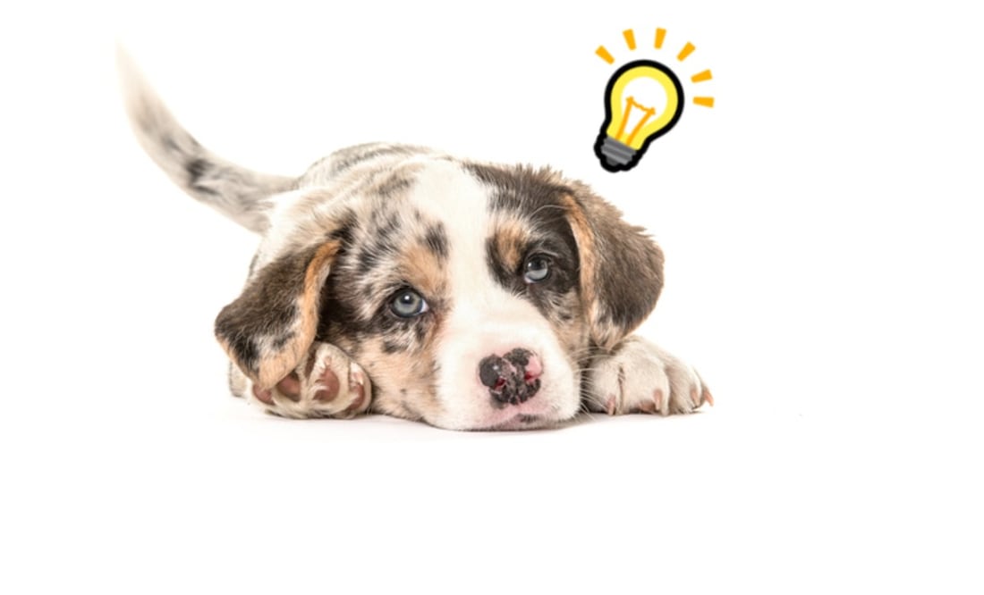 Foto: iStock/Emojipedia