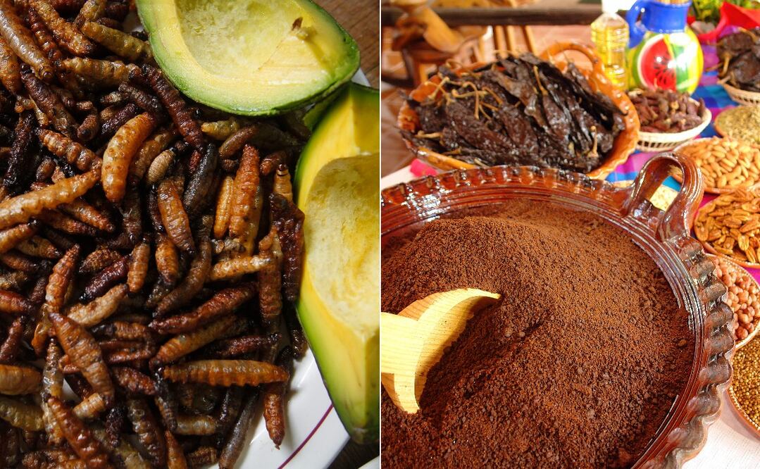 Fotos:  Alma Rodríguez Ayala / El Universal y Alvaro Contreras / El Universal