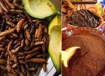 10 platillos mexicanos solo para extranjeros extremos