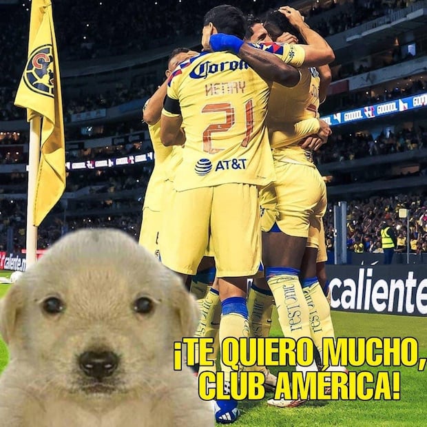 América Memes