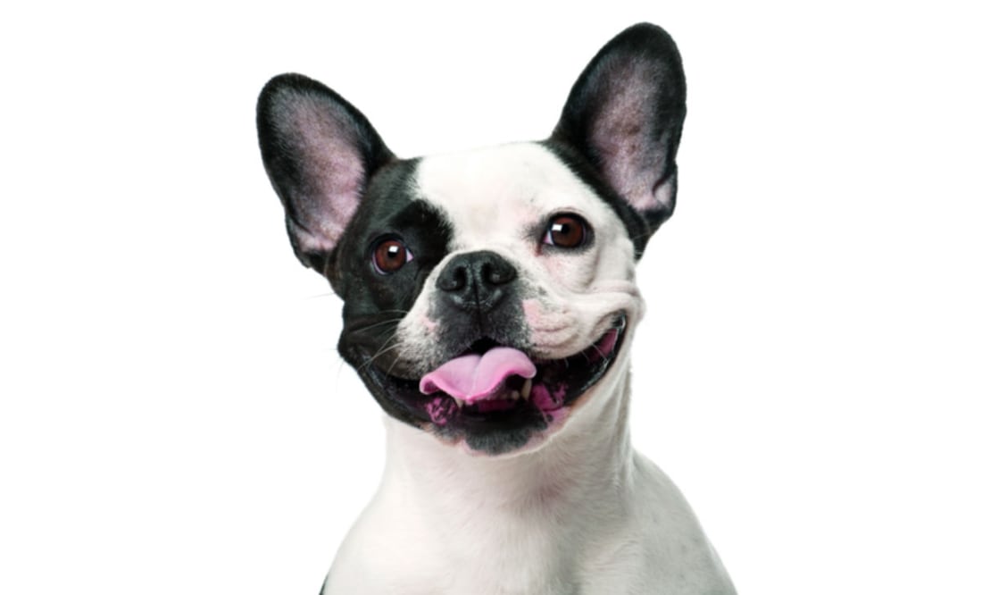 Foto: iStock