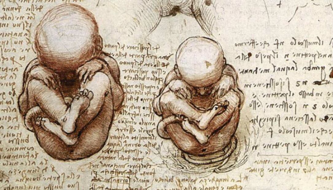 La lista de “tareas” de Leonardo Da Vinci que quedaron pendientes 