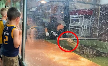 Video: Cocodrilo ataca a su cuidadora durante una fiesta infantil