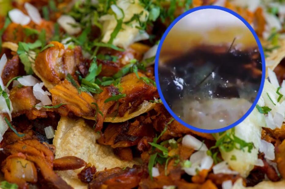 Microscopio revela los “ingredientes secretos” de los tacos callejeros