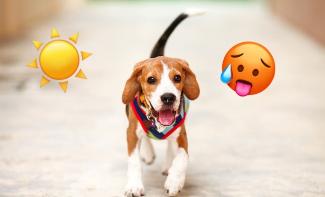 Foto: iStock